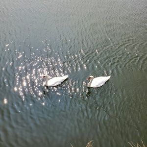 Meet your Posher, Znaida